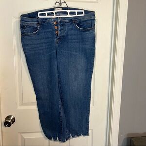 Loft Jeans Boyfriend Crop 12 Button Fly Distressed Hem High Waist Curvy